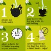 Clipper Organic Decaf Green Tea Bags | Box of 40