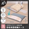 Astro 171-05 Activated Charcoal Deodorizing Feather Duvet Storage Bag, Single,