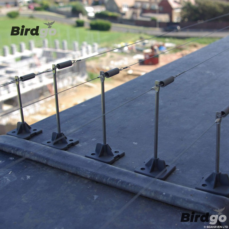 Birdgo 10 x Standard Stainless Steel Springs for Bird Post