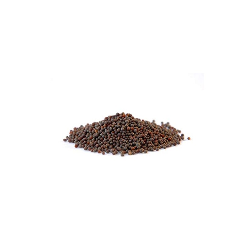 Buy Wellness MUSTARD SEEDS, Brown, USDA Certified Organic Brown Mustard