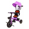 Aeiou Triciclo Para Niños Con Toldo Tct227 Morado