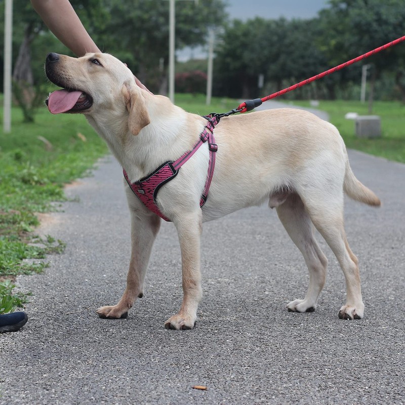 Suredoo No Pull Dog Harness Adjustable Breathable Reflective Lightweight Pet