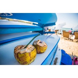 Hummingbird Glass Straws Extra Long 12 inches x 9.5 mm Reusable Straws (4 pack of Orange-Blue-Green-Teal)