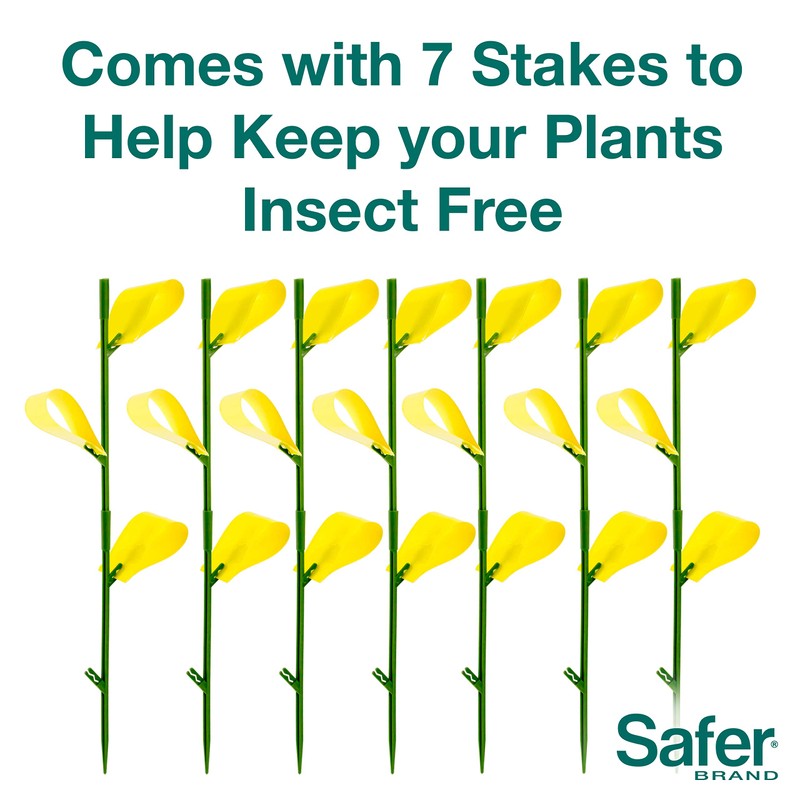 Safer Brand 5026 Houseplant Sticky Stake Insect Traps for Indoor