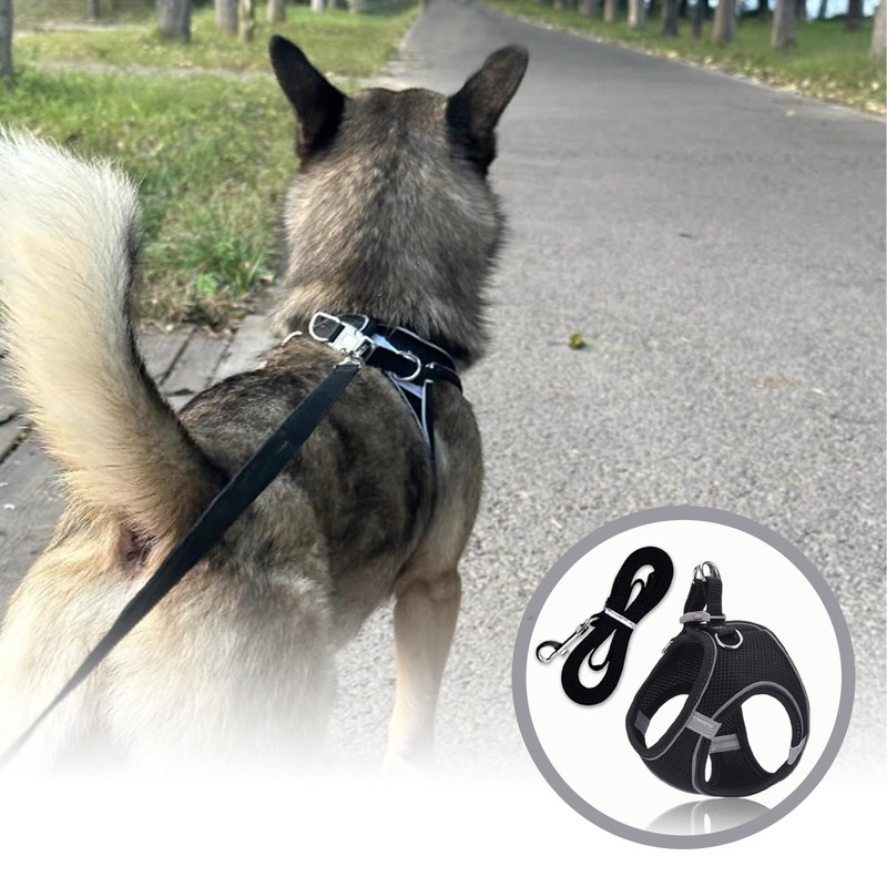 Reflective Anti-Pull Dog Harness & Leash Set | Adjustable Step-in