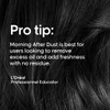L'Oréal Professionnel Tecni.Art Morning After Dust 200 ml Fresh