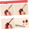 BIUDECO 3Pcs Stainless Steel Fruit Corer Portable Core Remover Tools