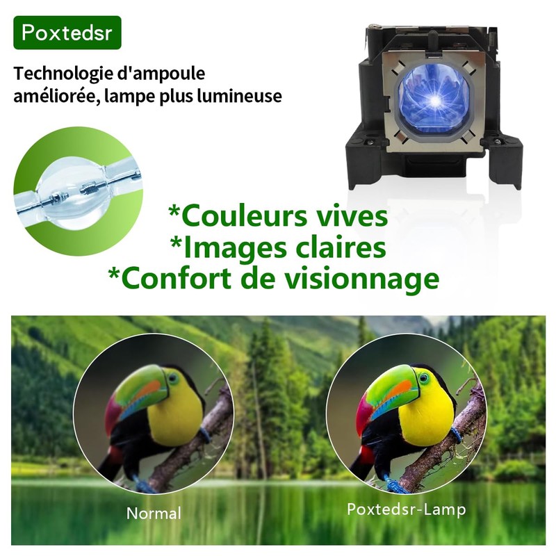 Poxtedsr PRM30-LAMP Projector Replacement Lamp Compatible with Promethean PRM30 PRM30A