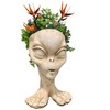 Muggly Alien Sister Zoe Planter Pot Extraterrestrial Celestial Being from