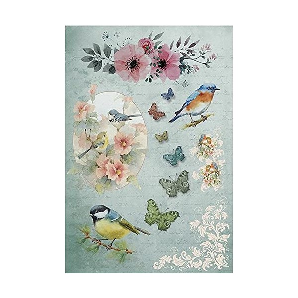 Rice Paper for Decoupage A4 BIRDS (Tits with Butterflies -