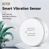Haozee Smart Vibration Sensor Alarm, Real Time Monitoring, Door Window