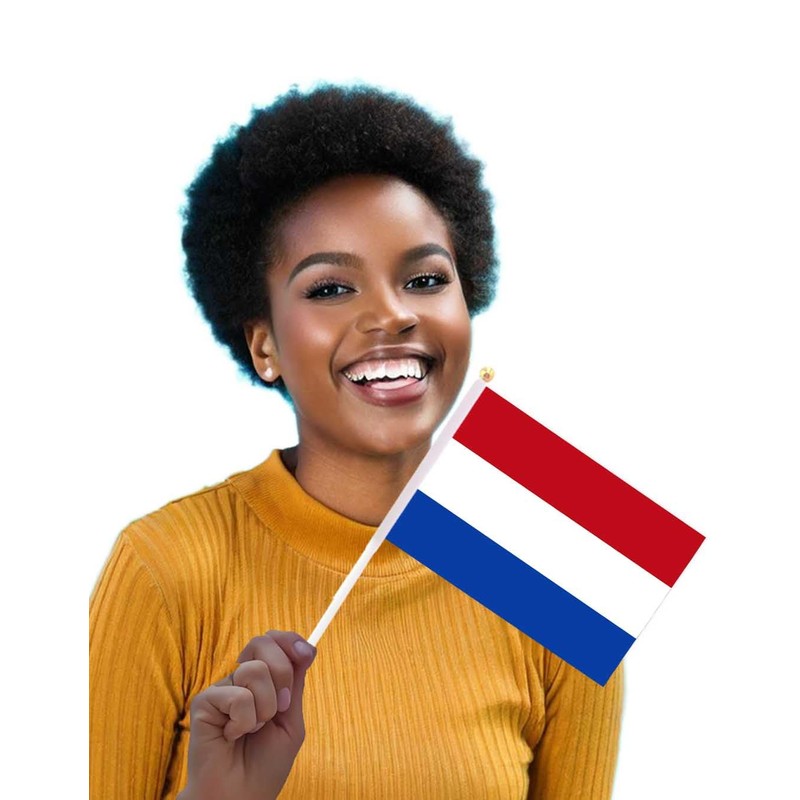 25 Packs Small Netherlands Flags on Handheld Stick，Miniature Dutch Holland