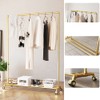 DR.IRON Gold Pipe Clothing Rack Garment Rack with Bottom Shelf