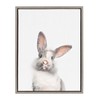 Kate and Laurel Sylvie Young Rabbit Framed Canvas by Amy