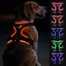 Joytale Light Up Dog Harness, No Pull Dog Harness USB Rechargeable for Night Walking with 3 Lightning Modes and Soft Handle, Adjustable Reflective Lighted Safety Vest,Orange, M