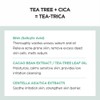 SKIN1004 [SKIN1004]Madagascar Centella Tea-Trica Bha Foam 125ml