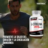 L-Citrulina 1200mg | Testrol Essential | 60 Cápsulas