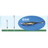 Owner 72821 P-21 Flounder Shaft, M
