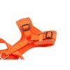 Doodlebone Adjustable Airmesh, Tangerine, 4-7