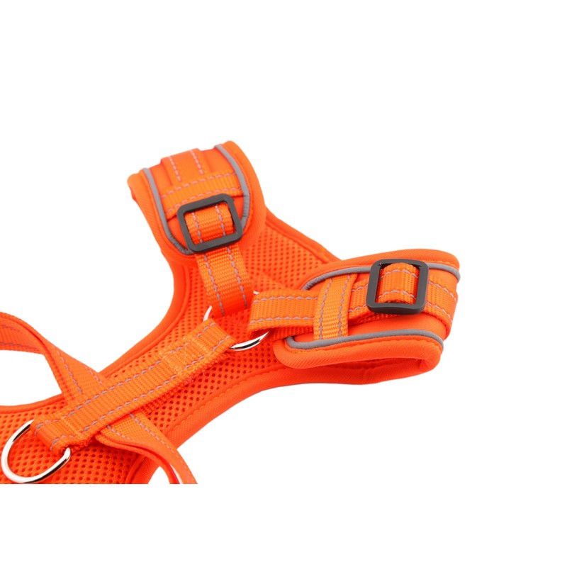 Doodlebone Adjustable Airmesh, Tangerine, 4-7
