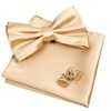 Alizeal Mens Tuxedo Bow Tie, Hanky and Cufflinks Set (Champagne)