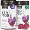 Multimineral Sea Moss Gummies 3000 Mg with Probiotic, Bladderwrack, Black