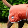 Ancol Stormguard Dog Coat in Terracotta - Waterproof Pet Jacket