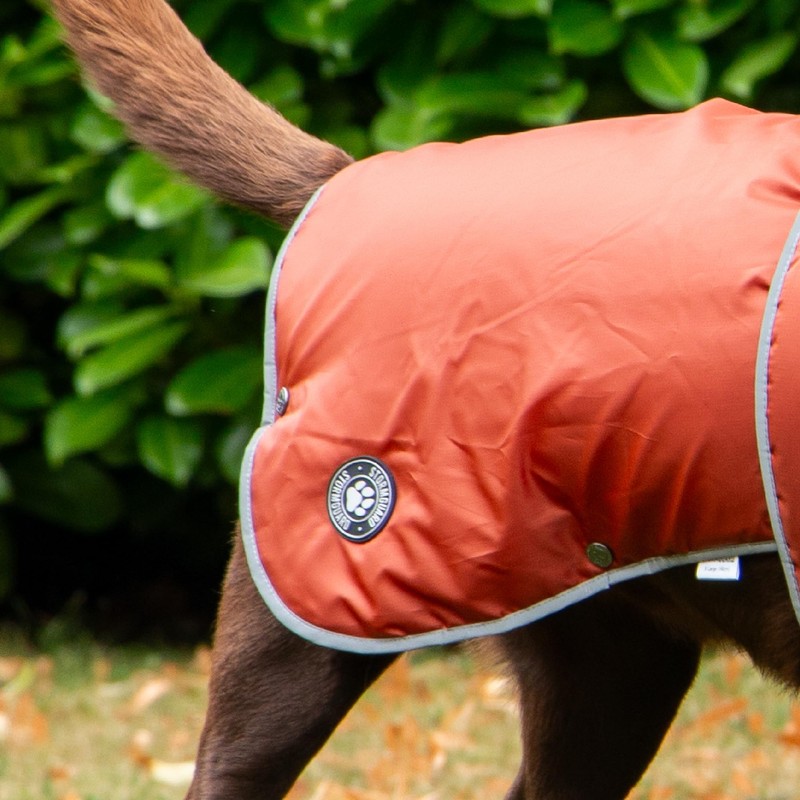 Ancol Stormguard Dog Coat in Terracotta - Waterproof Pet Jacket