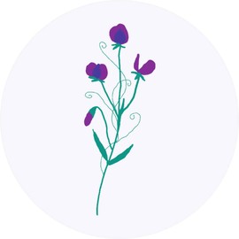 24 x 40mm Round 'Purple Sweet peas for Summer Joy' Stickers (SK00057171)