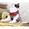 Plus Nao Cat Harness Lead Set, Leash, Chestplate, Vest, For