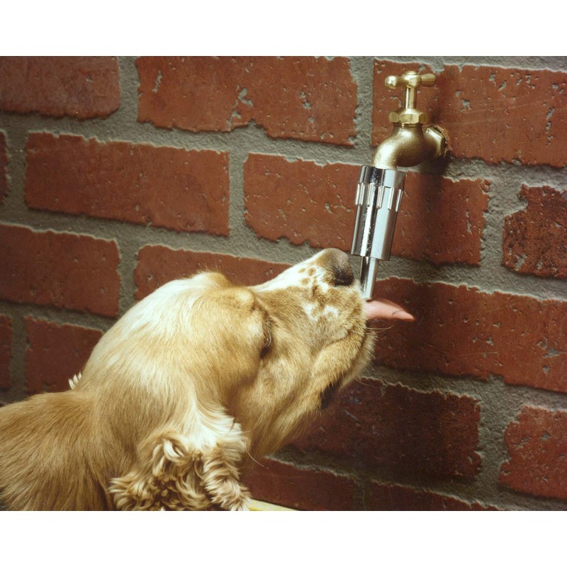 Lixit L100 Water Faucet Automatic Fountain for Dogs and Other