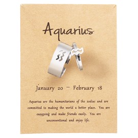 Couple Zodiac Ring for Him and Her Sets 12 Constellations Adjustable Open Matching Rings for Valentines Day Gifts (Aquarius)