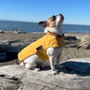 JAN & JUL Dog Rain Jacket (Yellow, Size: L)
