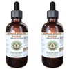 Teasel Alcohol-Free Liquid Extract, Teasel (Dipsacus fullonum) Dried Root Glycerite