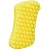 Pet + Me Multi-functional Grooming Brush for Short Hair Dog,