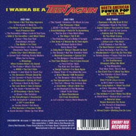 VARIOUS ARTISTS I WANNA BE A TEEN AGAIN: AMERICAN POWER POP, 1980-1989 NEW CD