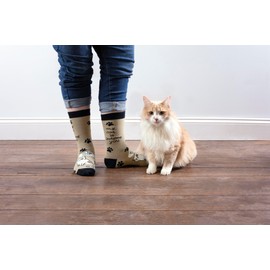 Primitives by Kathy Novelty Socks - My Cat Is Judging You, Unisex, One Size, LOL Collection