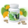 Ginkgo 240 mg | Ginkgo High Dose EDOSO | 60