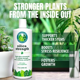 Silica Strength Plant Supplement – Strengthens Stems, Supports Upright Leaves & Improves Stress Resilience | Ready-to-Use 4.5% Liquid Concentrate for Houseplants | 8 oz | Makes 96 Gallons