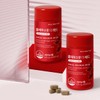 Holidays 콜레우스핏 더 레드 다이어트 1병 1개월분 Coleus Fit The