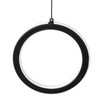 LED Pendant Light Fixture Height Adjustable Globe Modern Hanging Chandelier