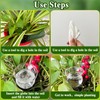 Haawooky 8 Pack Self Watering Globes,Clear Glass Plant Water Bulbs,Hand