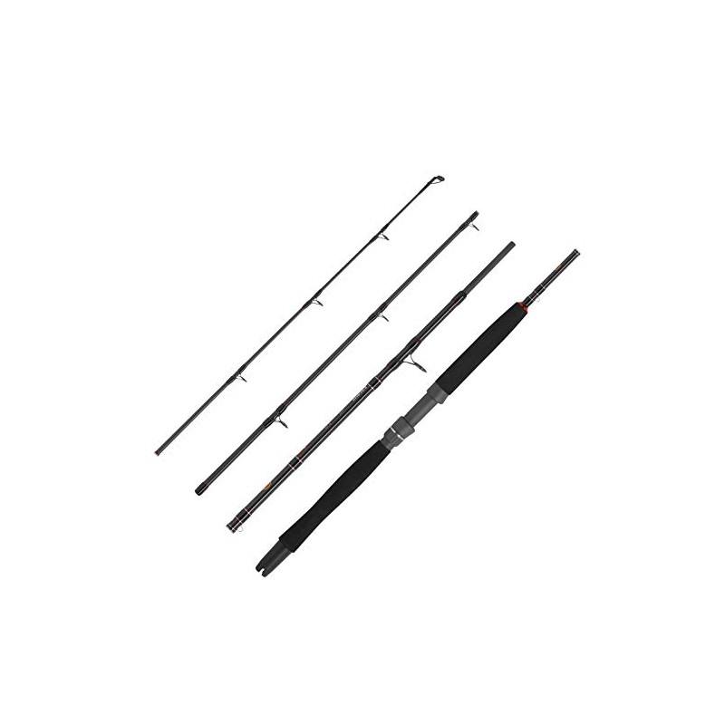 WFT Fishing Rod 2.10 m 200-600 g 4-Piece Norway Rod