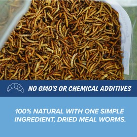 Mann Lake PH524 Wonder Grubs 5 lb Non-GMO Dried High-Protein Mealworms for Chicken, Duck, Wild Bird, Fish, Reptiles, Tortoise, Amphibians, Lizard, 4 Pack, Meal Worms