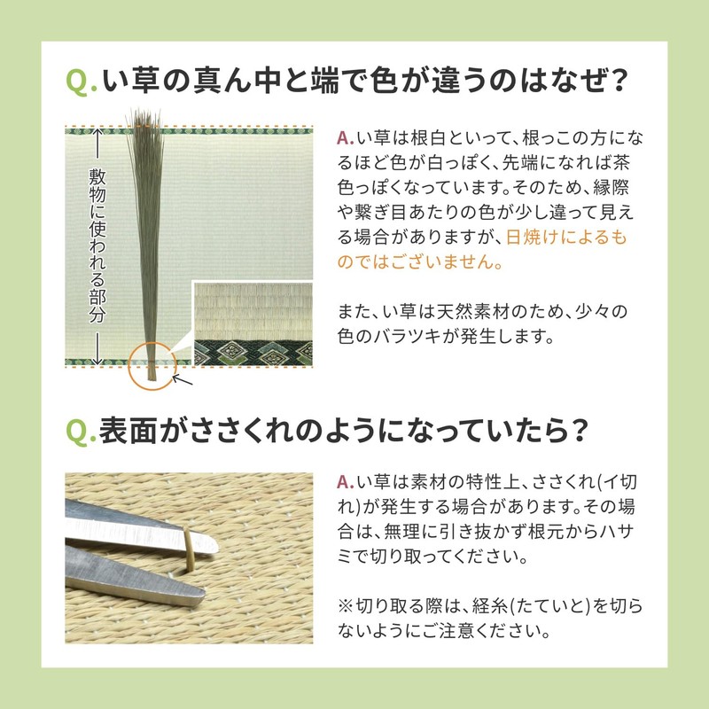 Hagiwara Domestic Grass Entrance Mat, Backing, Blue, Approx. 11.8 x