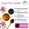 40 Bags Ivan Tea Siberian Fireweed Tea Herb Blooming Sally