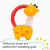 Smart Steps® Jerry Giraffe Rattle and Teether