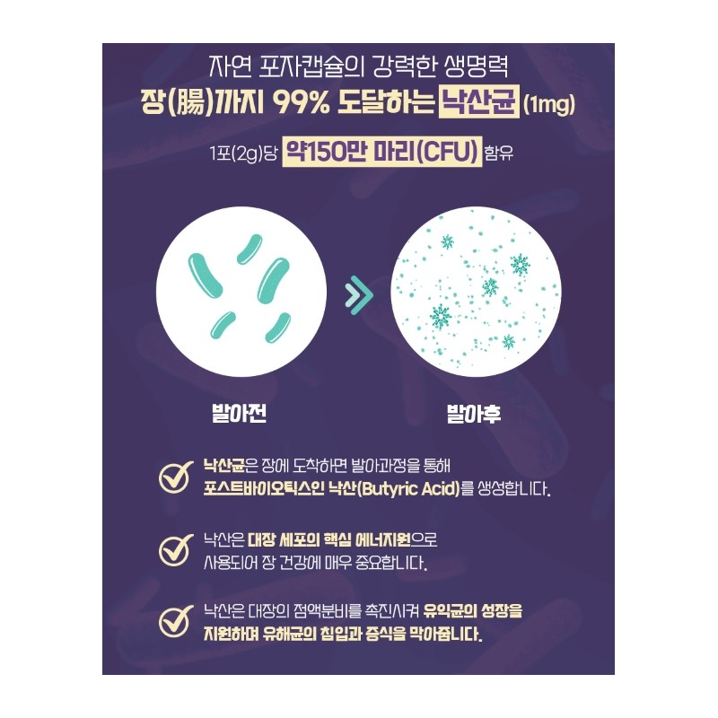 Lactobacillus Bifidus Colon Lactobacillus Dead Cells 6 Months / 낙산균
