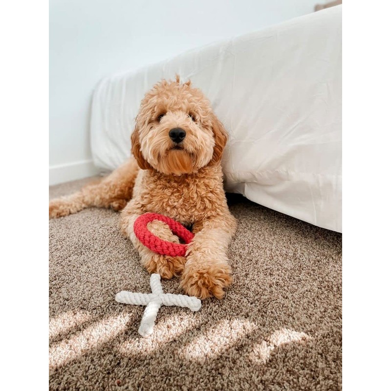 Midlee XO Valentine's Rope Dog Toy