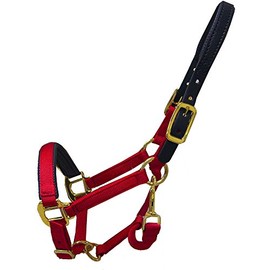 Thornhill Breakaway Padded Halter Purple, Pony
